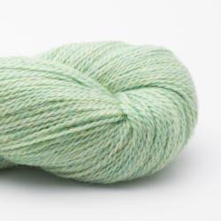 BC Garn Babyalpaca 10/2 50g RAS Mint Green RAS BC Garn Babyalpaca 10/2 50g RAS Mint Green RAS