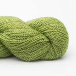 BC Garn Babyalpaca 10/2 50g RAS Spring Green RAS